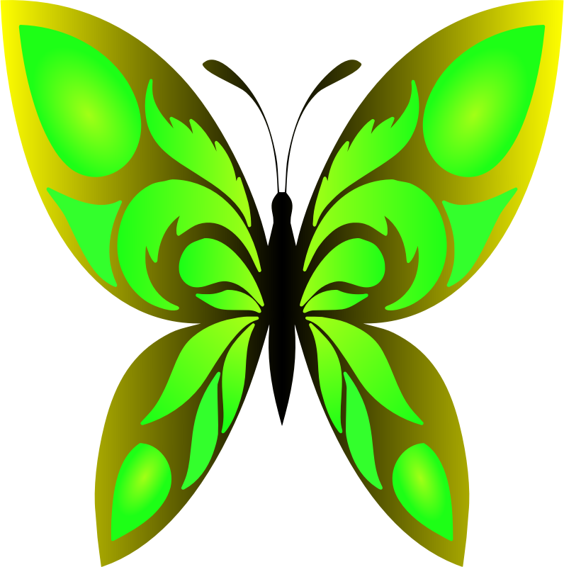 Butterfly 34 (colour 6)