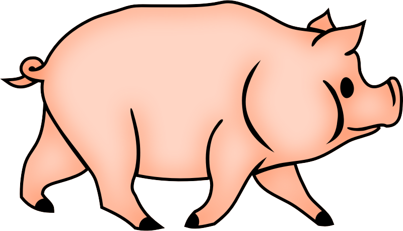 Pig 5