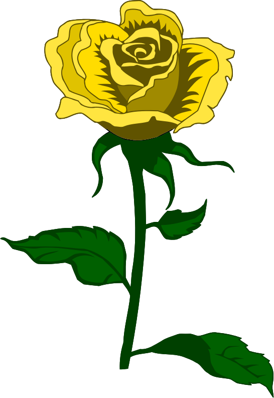 Rose 27 (colour 2)