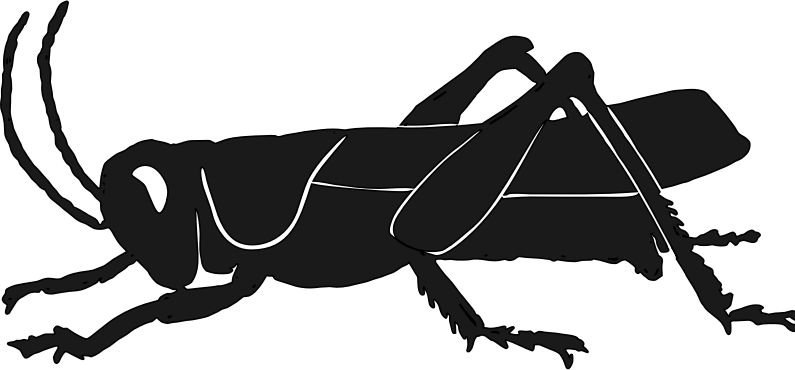 Grashopper silhouette