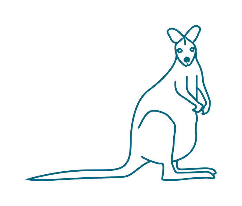 kangaroo