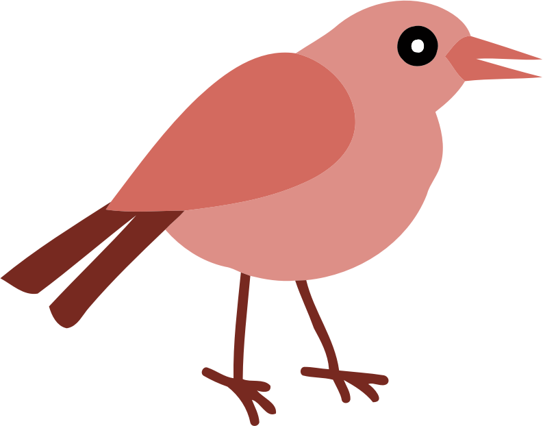 Bird 13