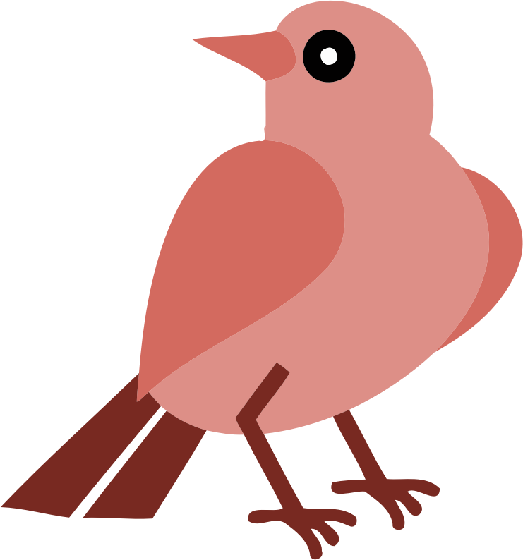 Bird 14