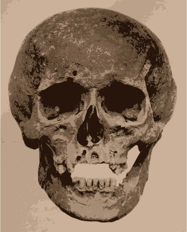 Old Skull