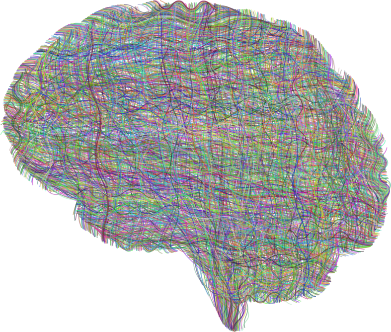 Dense Neural Brain Prismatic