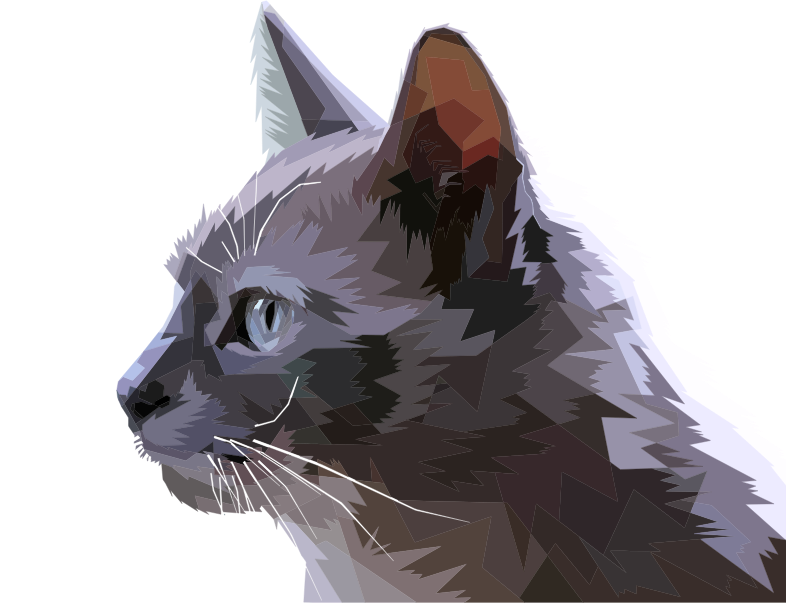 gray cat avatar