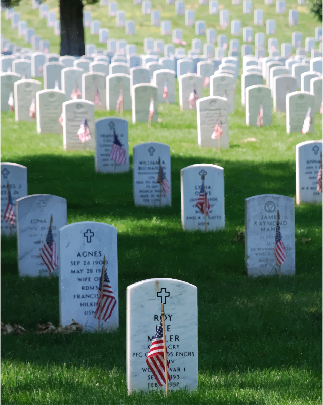 Graves At Arlington On Memorial Day