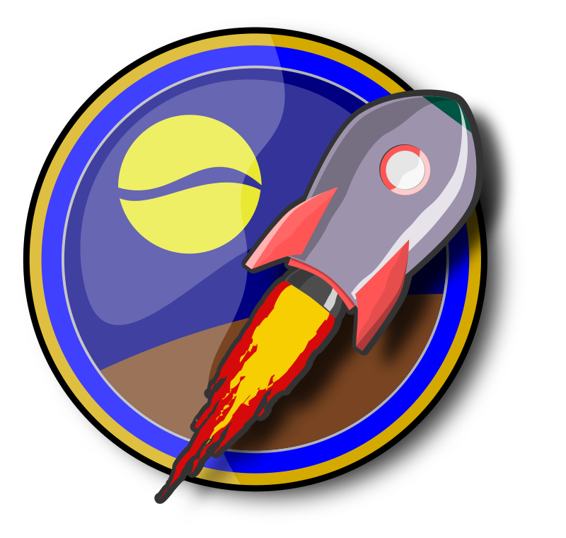 Spaceship on insignia