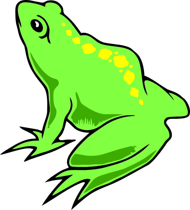 Frog 11