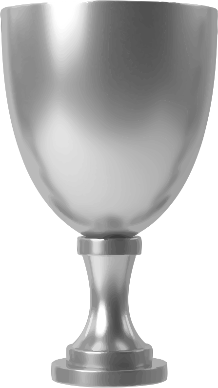 Silver cup 4