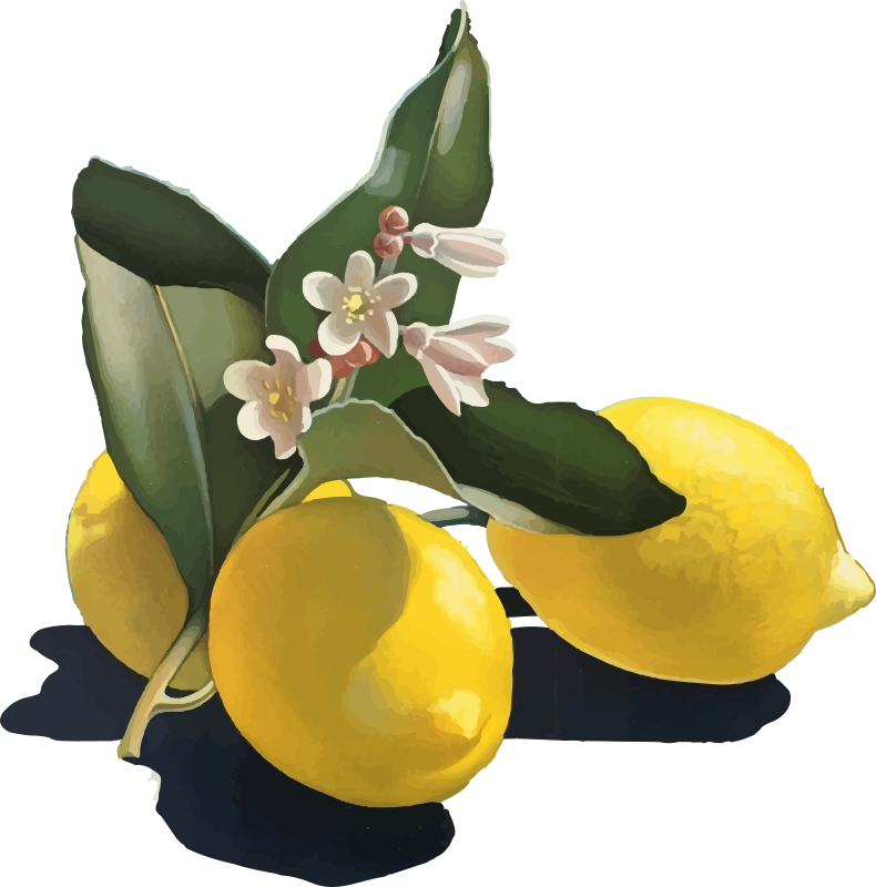 Fresh Lemons