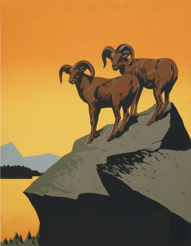 Mountain Rams