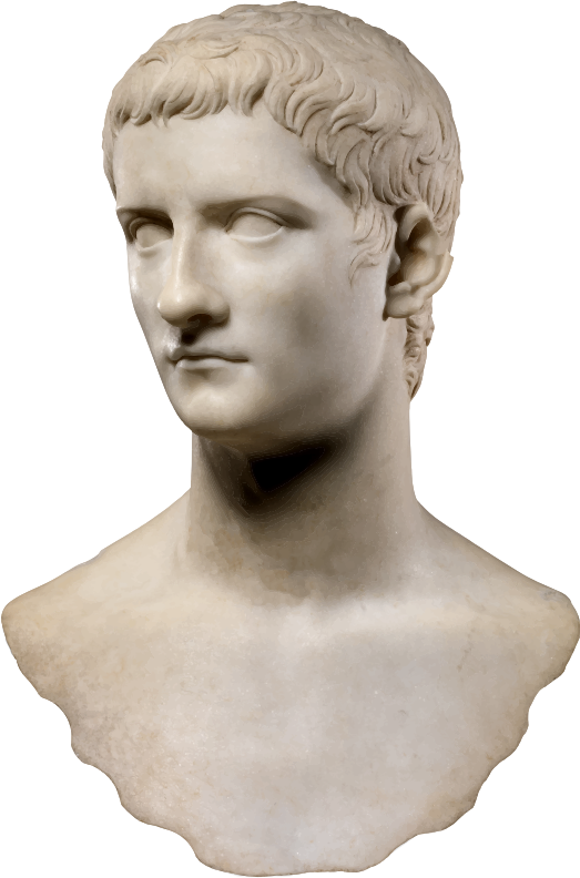 Bust of caligula