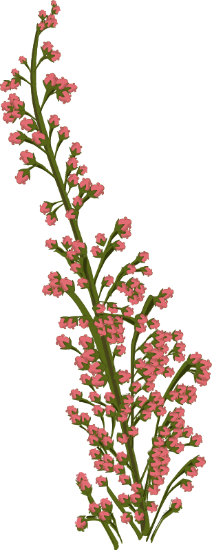 Flower 202 - Openclipart