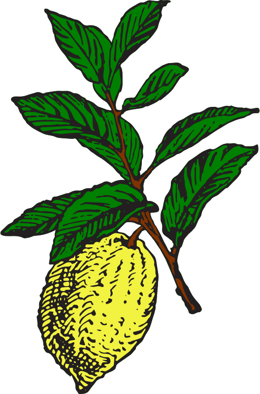 Lemon 3 (colour) - Openclipart