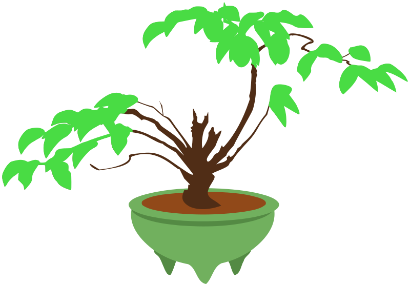 Bonsai in a Pot