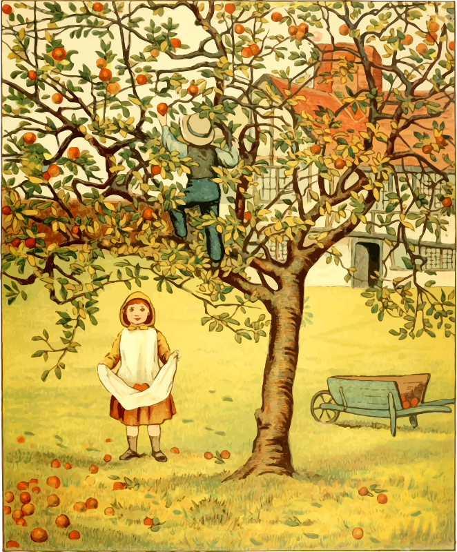 Picking apples