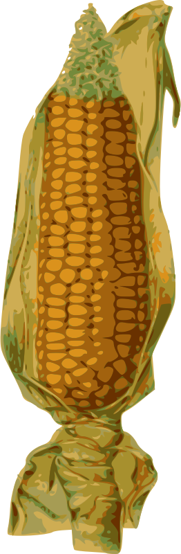 Corn on the Cob