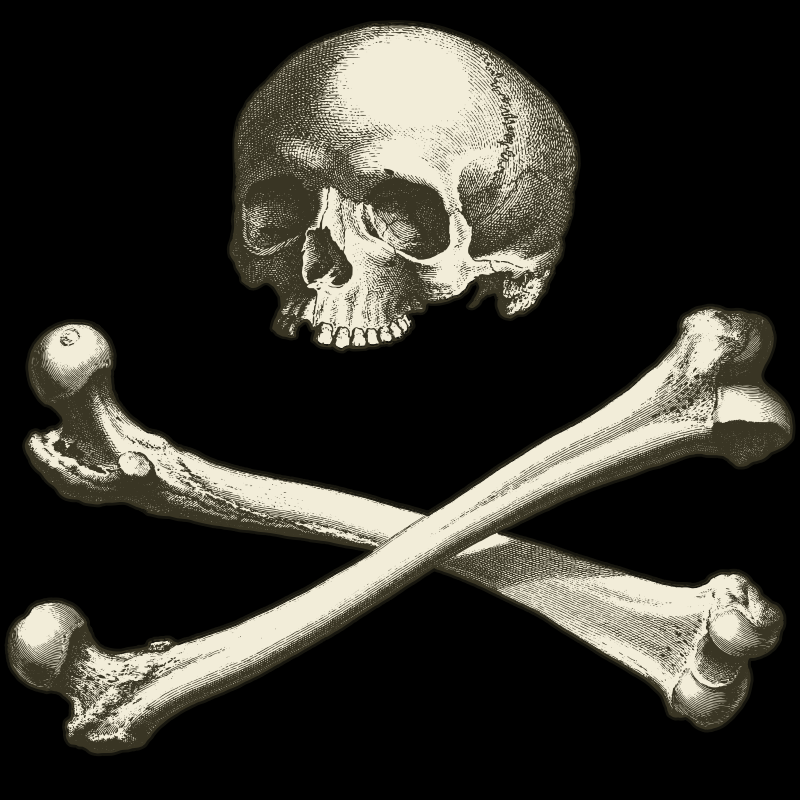 Символ костей. Кости черепа. Skull and Bones череп и кости. Страшный череп с костями.