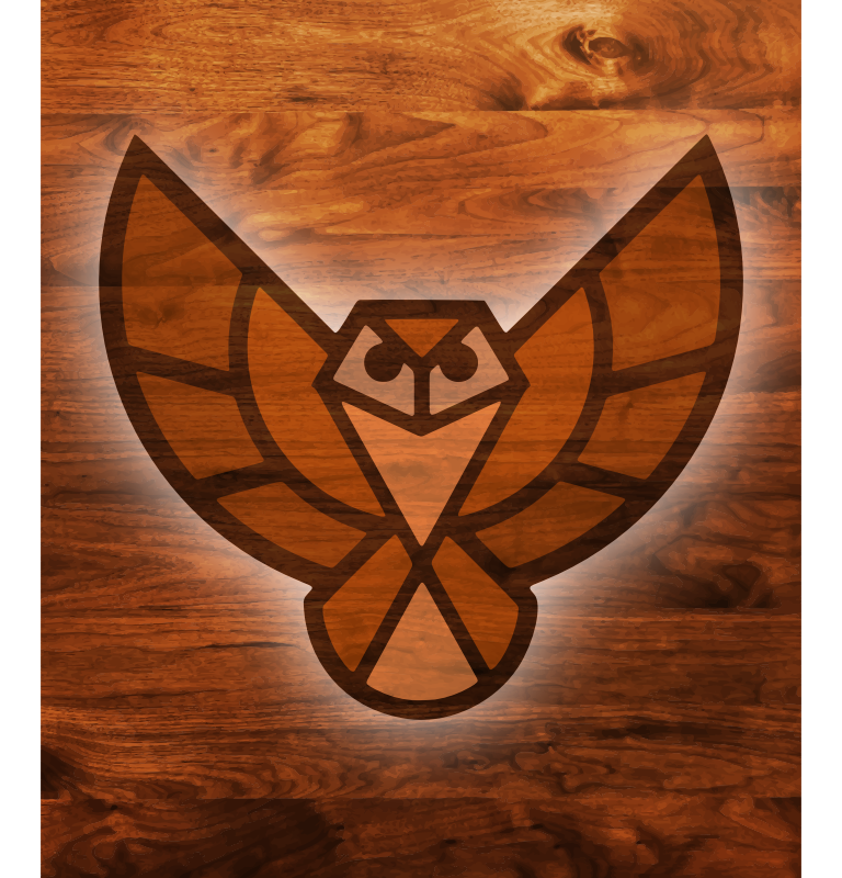 Wood texture owl