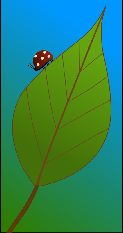 Bug on a Leaf