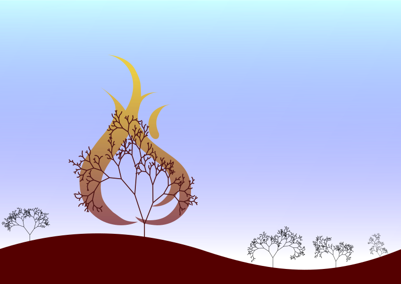 burning bush