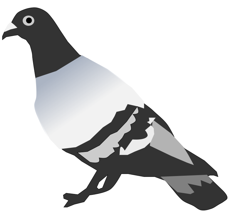Pigeon (fixed)
