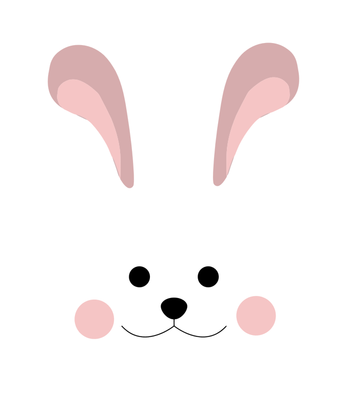 Cute Bunny Head