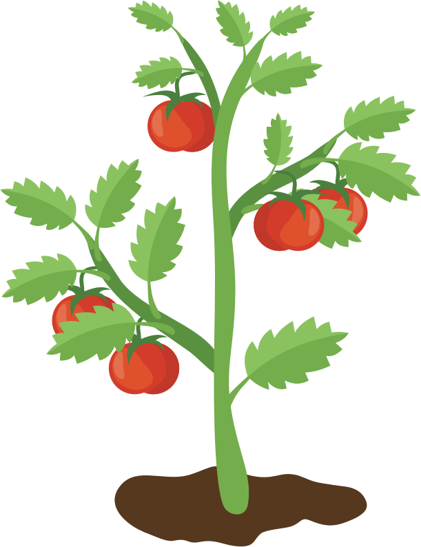 tomato-plant-openclipart