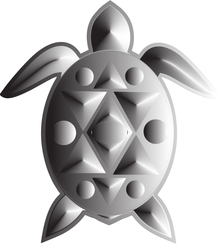 Sea Turtle Duochrome