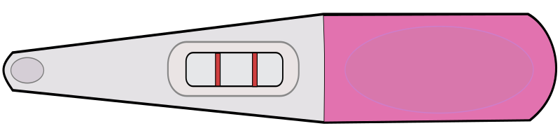 Pink Pregnancy Test