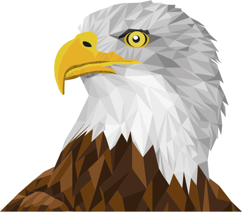 Low Poly Bald Eagle By Sharpi1980