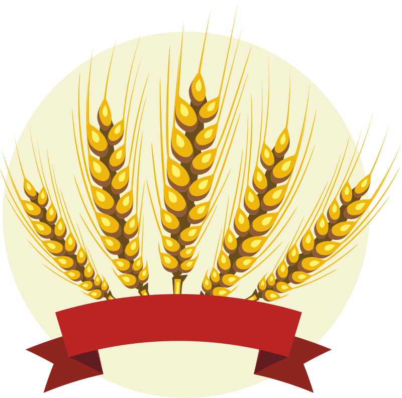 Barley with red banner