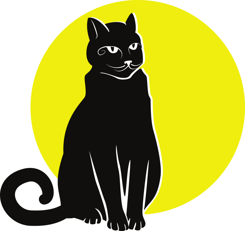 Black cat on yellow background