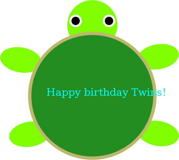 Birthday turtle