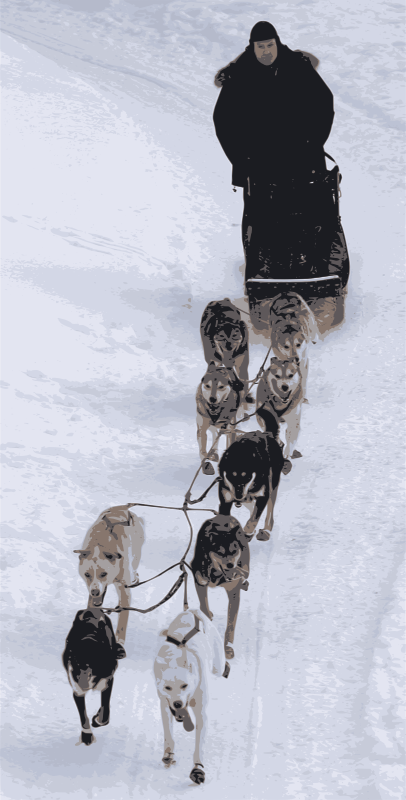 Iditarod Dog Race