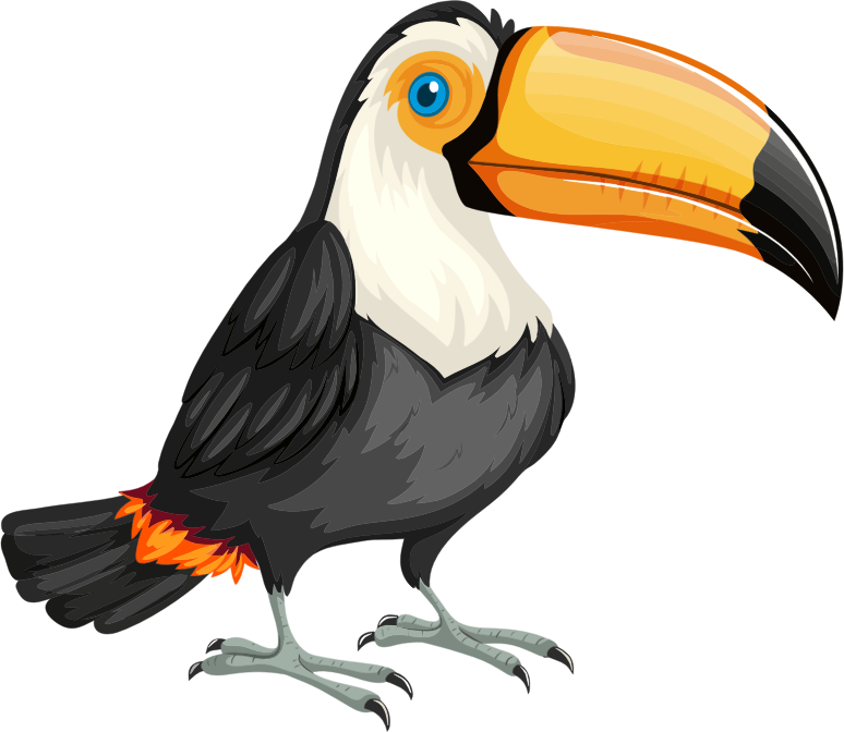 Toucan Bird Cartoon Cute toucan bird cartoon royalty free vector image