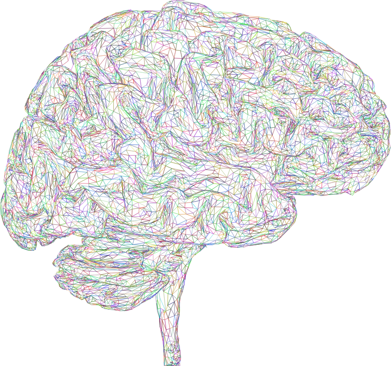 Brain 3D Profile Wireframe Prismatic