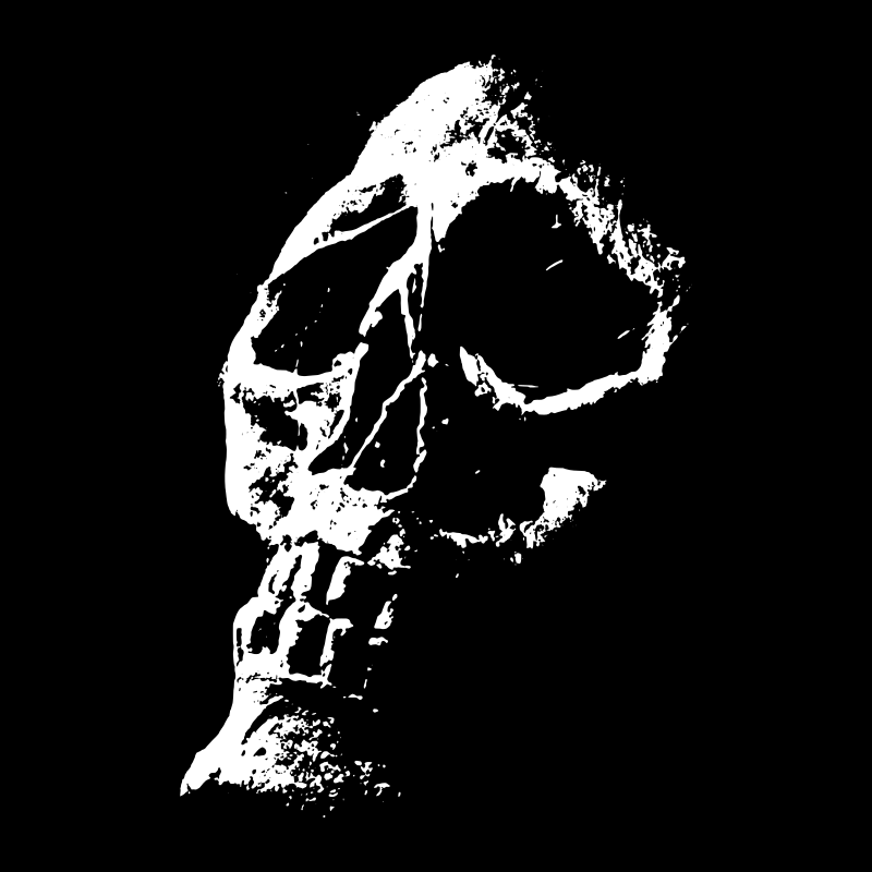 Night of the living dead title screen skull