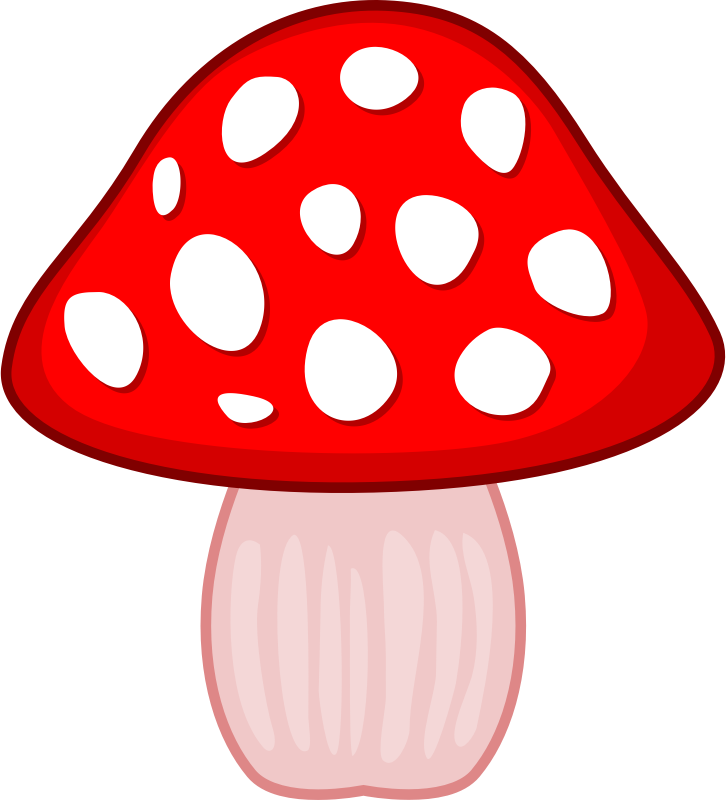 Mushroom 2