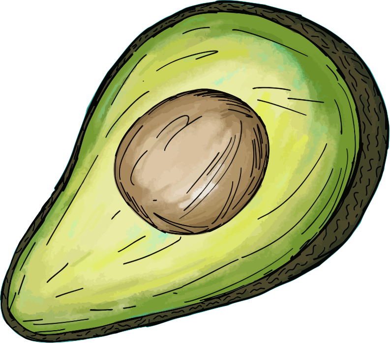 Avocado