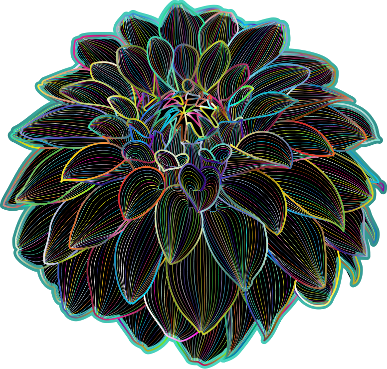 Polyprismatic Dahlia