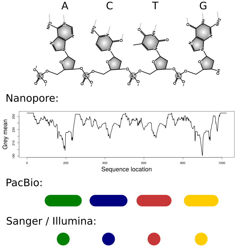 Symbolic DNA Sequencing