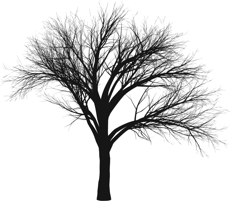 Intricate Tree Silhouette By Deedster