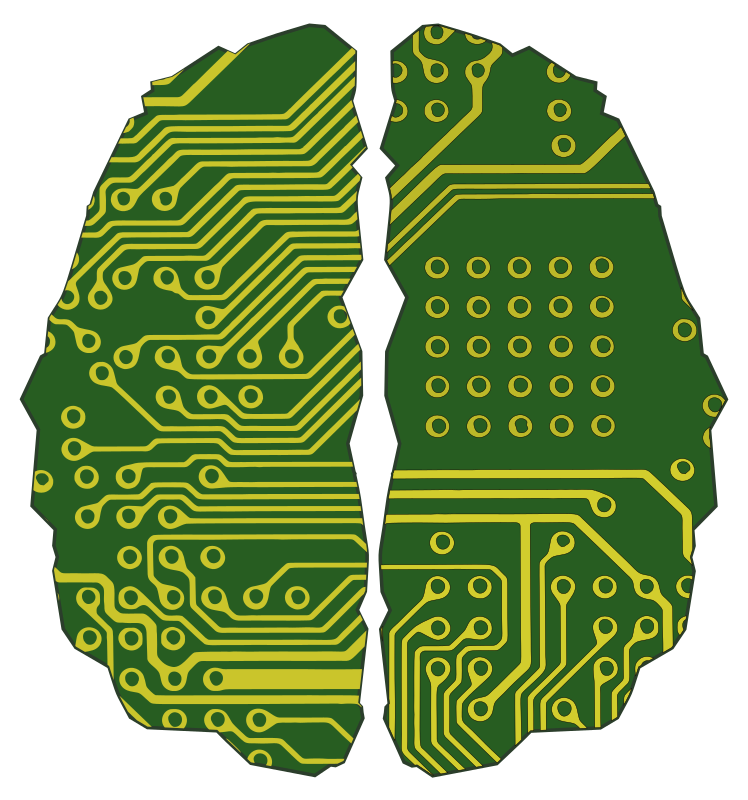 Cybernetic Brain - Circuit Colour