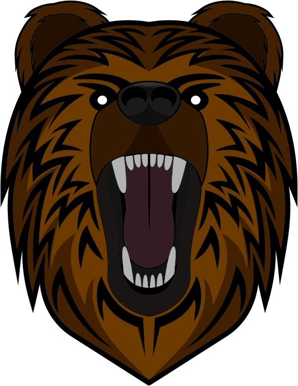 Bear Illustrated