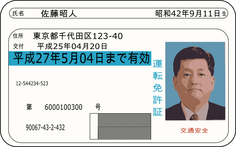 Japanese Drivers License