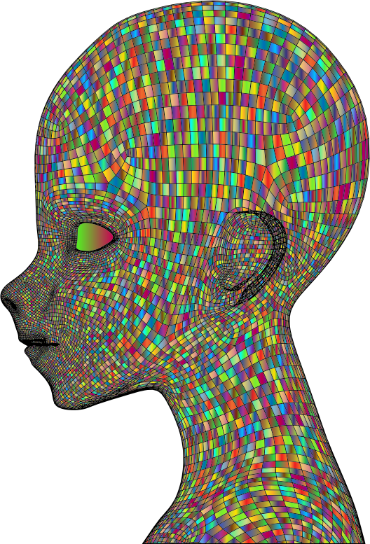 Boy Wireframe Head Polyprismatic