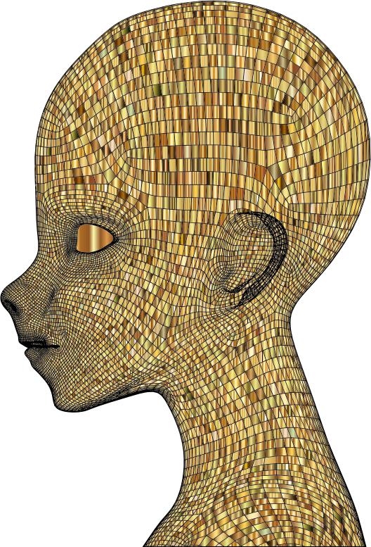 Boy Wireframe Head Gold