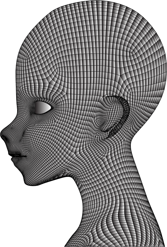 Boy Wireframe Head Duochrome